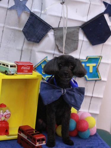 20230404ピピちゃん